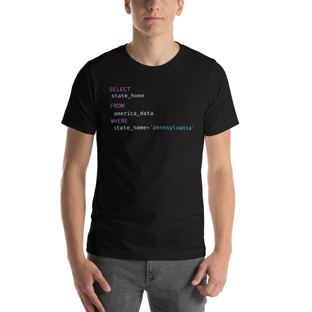 Pennsylvania Query Unisex t-shirt