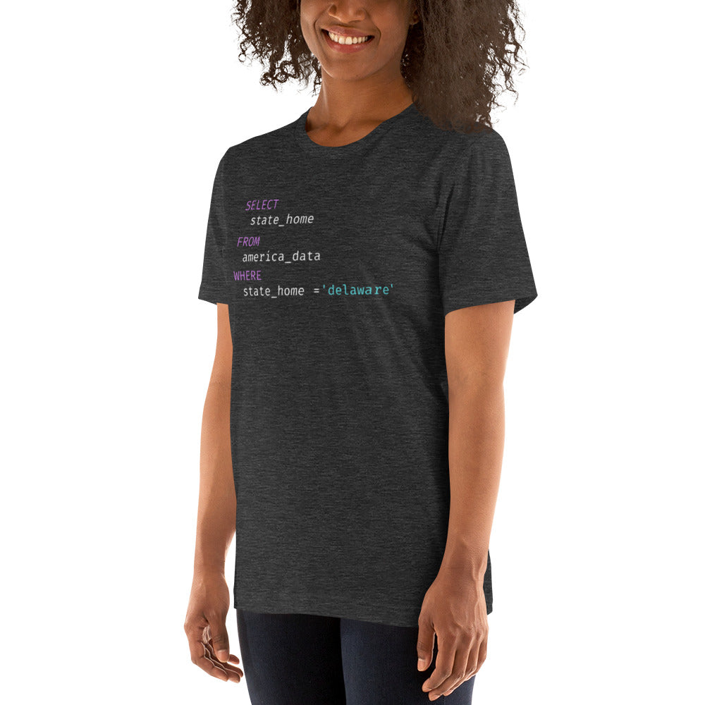 Delaware Query Unisex t-shirt