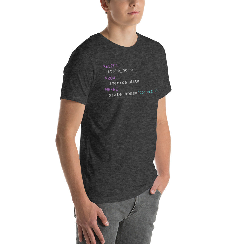 Connecticut Query Unisex t-shirt